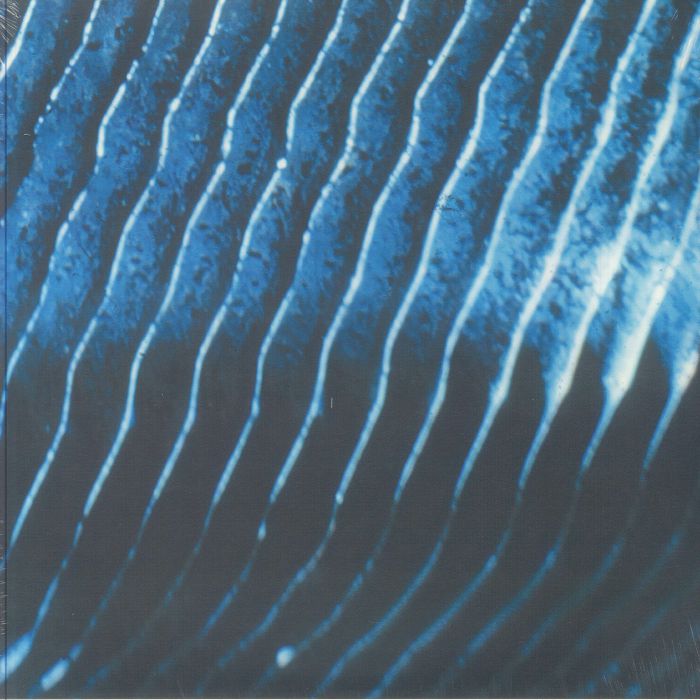 Gravity (reissue) - Field 37