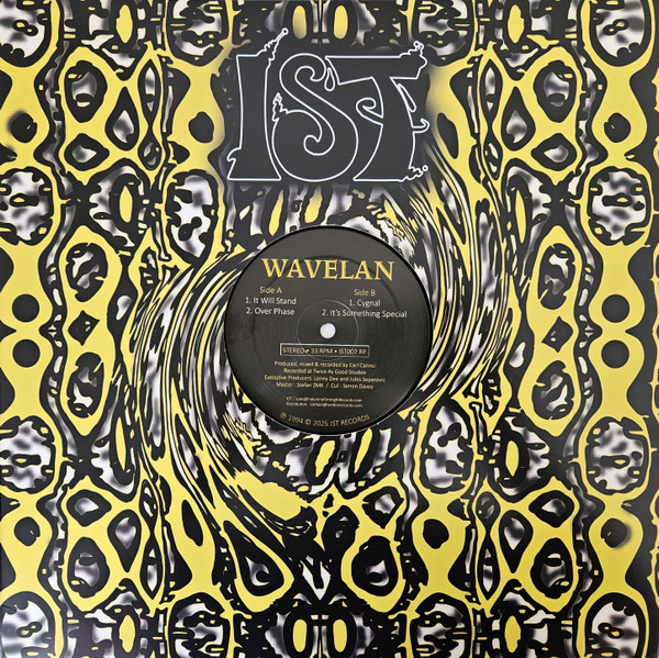 It Will Stand (reissue) - Industrial Strength 07 RP