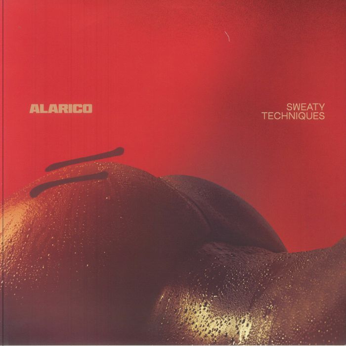 Sweaty Techniques Alarico Key Vinyl KEY049 KEYLP05