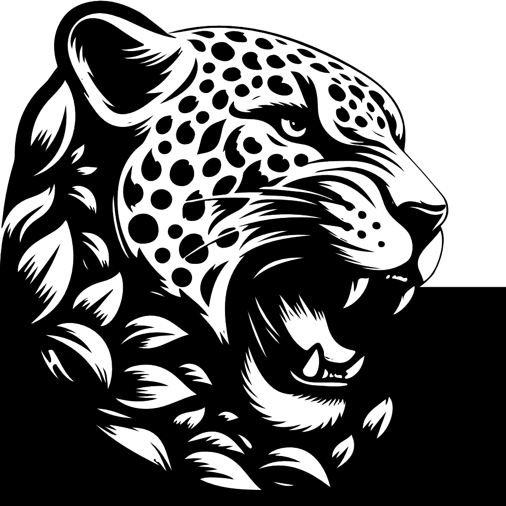 BX004 - VA - NADIE NOS VA A PARAR - DISTR COVER FRONT