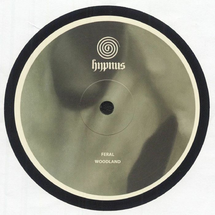 Woodland - Hypnus 28